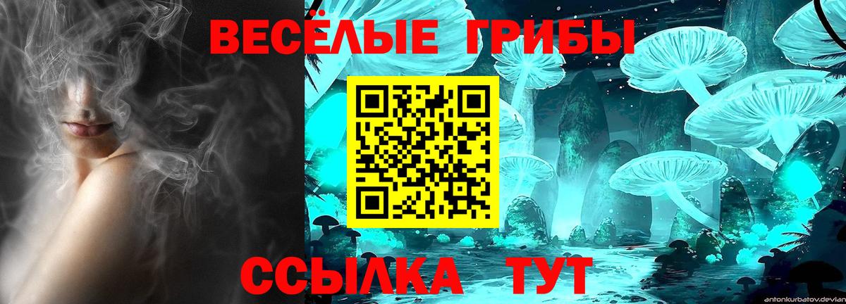 Псилоцибиновые грибы Cubensis Ярцево