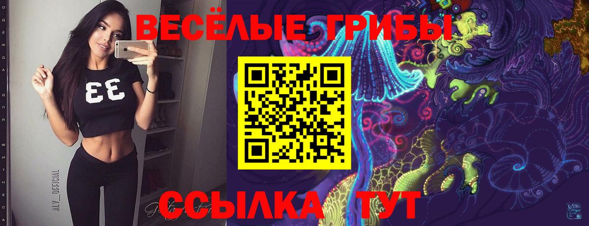 Галлюциногенные грибы прущие грибы  Псилоцибиновые грибы Magic Shrooms  Ярцево  Вход с VPN 